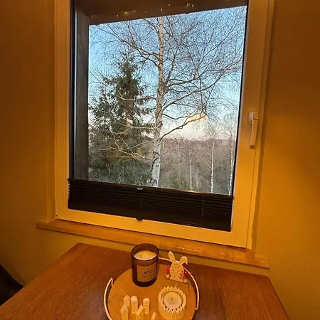 Fuxbau Design-ferienhaus Im Harz Mit Sauna Und Kamin Дом отдыха
