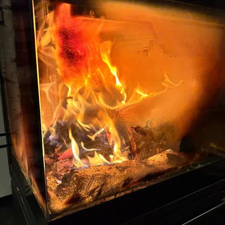 Fuxbau Design-ferienhaus Im Harz Mit Sauna Und Kamin ثال