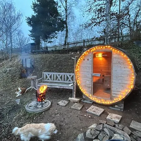 بيت للعطل Fuxbau Design-ferienhaus Im Harz Mit Sauna Und Kamin ثال