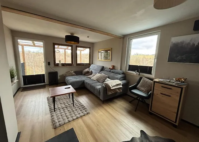 Fuxbau Design-ferienhaus Im Harz Mit Sauna Und Kamin Feriehus Thale