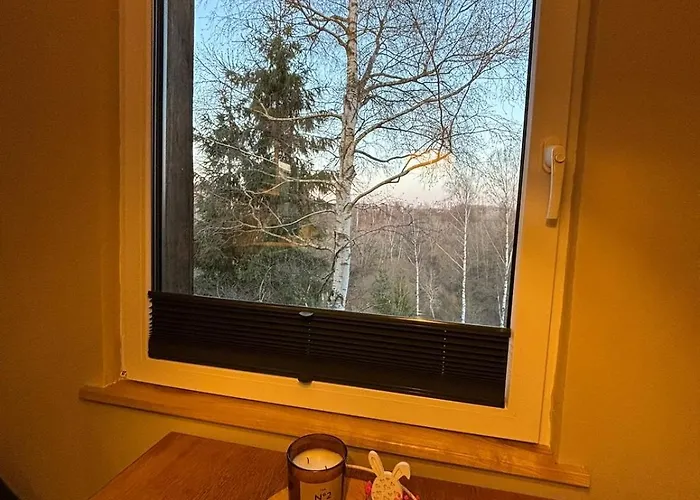 Fuxbau Design-ferienhaus Im Harz Mit Sauna Und Kamin Feriehus