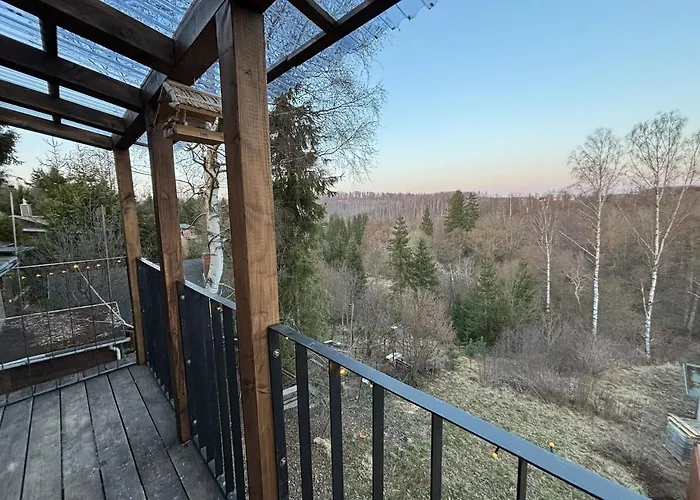 Fuxbau Design-ferienhaus Im Harz Mit Sauna Und Kamin بيت للعطل