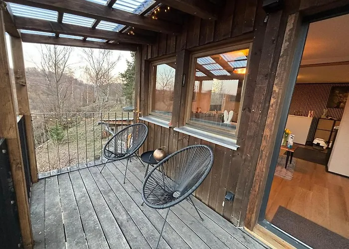 Fuxbau Design-ferienhaus Im Harz Mit Sauna Und Kamin * Thale