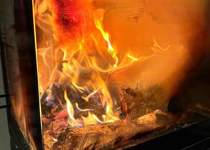 Fuxbau Design-ferienhaus Im Harz Mit Sauna Und Kamin Thale