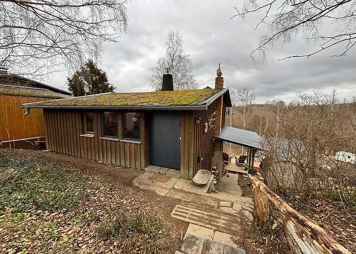 Fuxbau Design-ferienhaus Im Harz Mit Sauna Und Kamin
