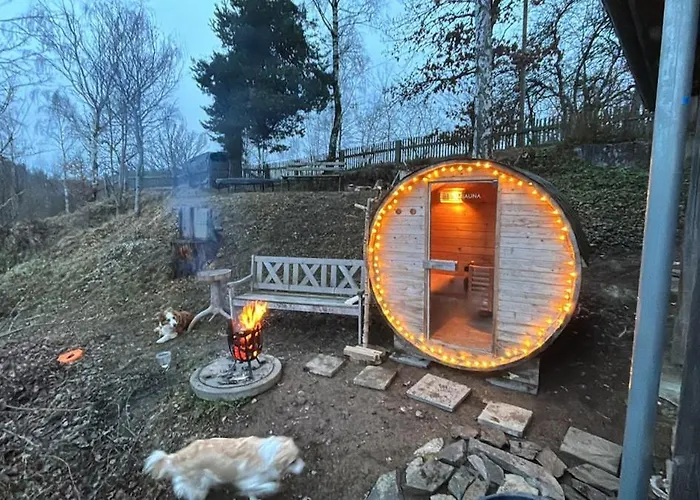 بيت للعطل Fuxbau Design-ferienhaus Im Harz Mit Sauna Und Kamin ثال