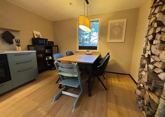 Fuxbau Design-ferienhaus Im Harz Mit Sauna Und Kamin Feriehus *